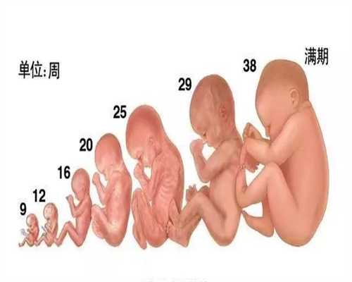 武汉代孕中心价格表：武汉代孕对胎儿的影响_武