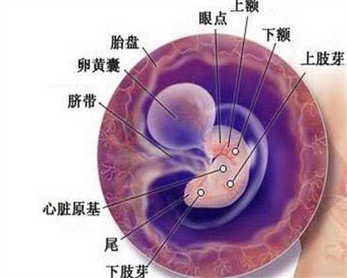 武汉国际服务代孕资质：武汉代孕行业领先品牌