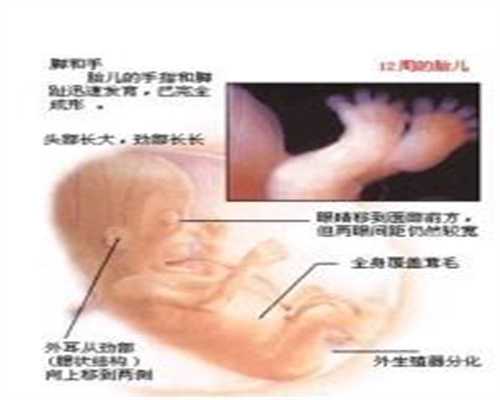 武汉业内代怀孕领导品牌：武汉中国代孕的价格