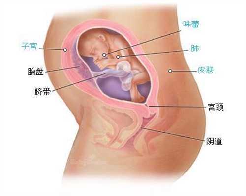 武汉福婴代孕：武汉代孕产子的流程价格_武汉代