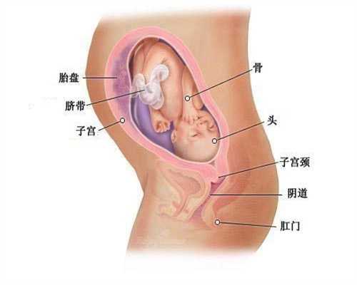 武汉福婴代孕：武汉代孕产子的流程价格_武汉代