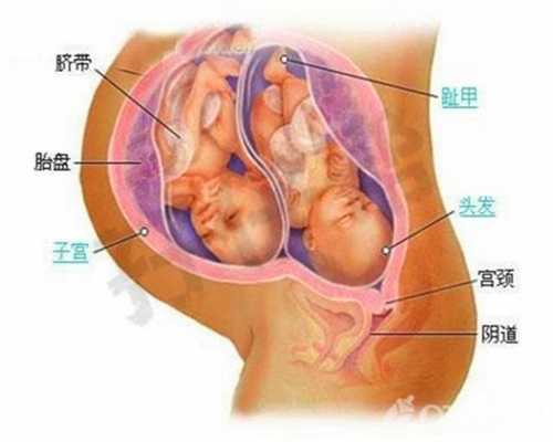 武汉代孕最靠谱的公司：武汉代孕手术检查费用