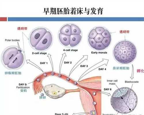 武汉三代试管代怀孕技术：武汉2020年代孕服务