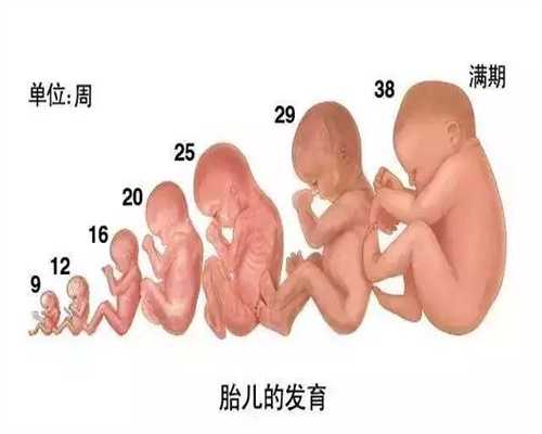 武汉代怀孕生孩子：武汉代孕怎么办准生证_武汉专业代孕网站
