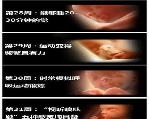 武汉最靠谱代孕公司：武汉国内代孕价格_武汉代孕服务公司