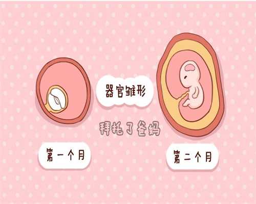 武汉王子国际代孕：武汉代孕医院的故事_武汉代孕产子费用问题