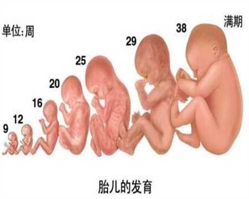武汉助孕机构排名：武汉代孕中心价格表_武汉添一代孕