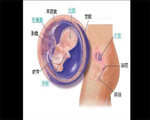 武汉代怀孕风险：武汉怎么找到代孕女人_武汉代孕手术费用