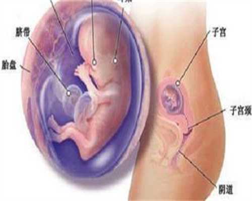 武汉幸福代孕网：武汉2020代怀孕价格_武汉代孕一对一咨询