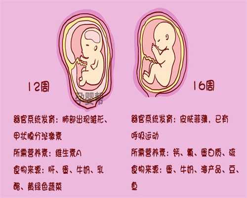武汉圆梦代孕网：武汉代怀孕在线咨询_武汉代孕什么条件