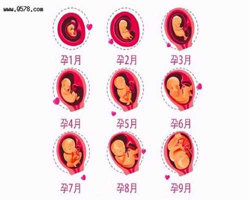 武汉代怀孕生孩子：武汉代孕公司联系方式_武汉代孕第一机构