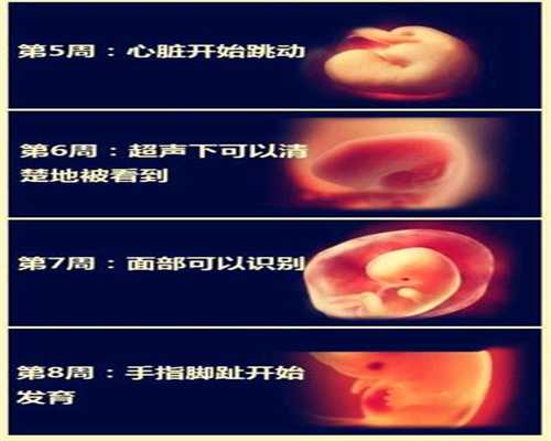 武汉代孕最靠谱机构：武汉全国代孕医院排名_武汉代孕手术多少钱