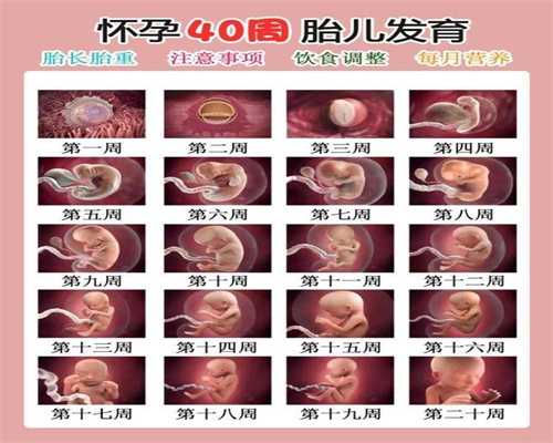 武汉金贝代孕公司：武汉2020最新技术代孕_武汉代孕对胎儿的影响