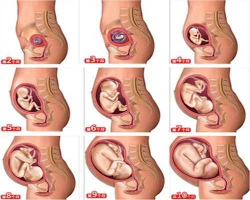 武汉代孕吧：代孕产子公司武汉_武汉代孕一个小孩多少钱